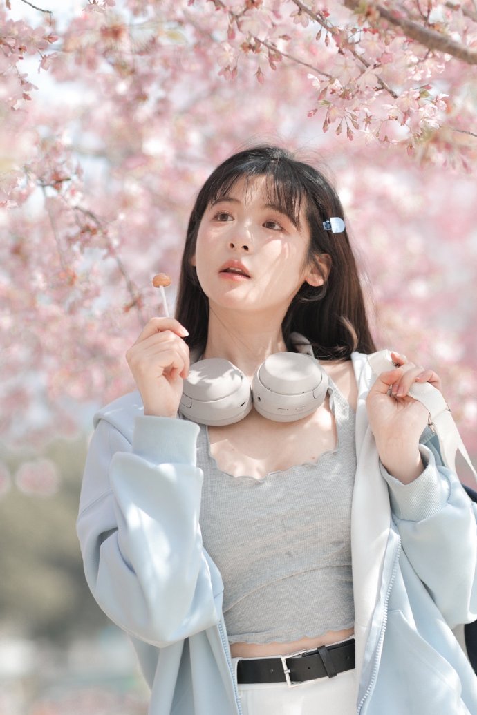 陈情令 封面