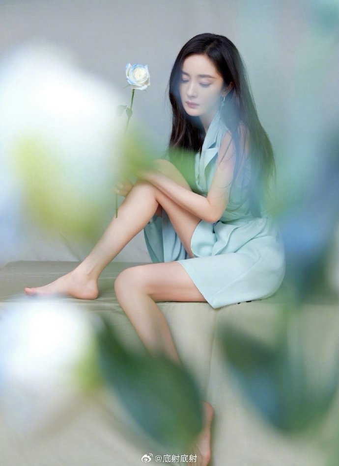 风起陇西 封面
