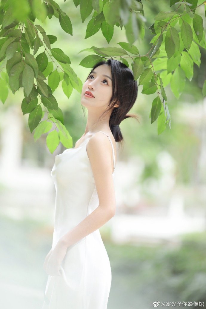 奇迹：给总统的一封信 封面