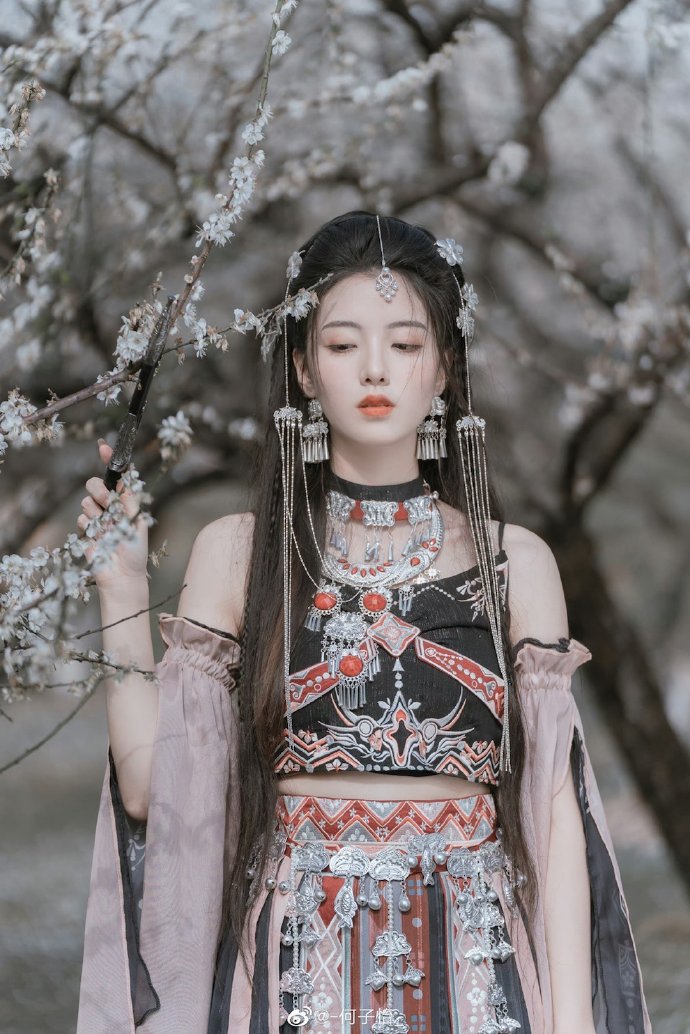 风骚律师